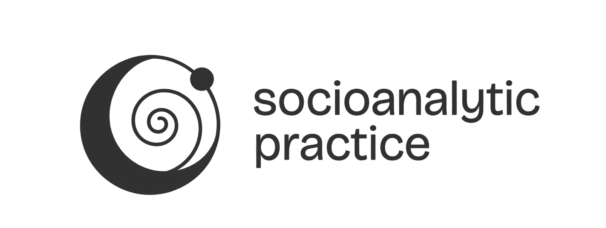 Socioanalytic Practice